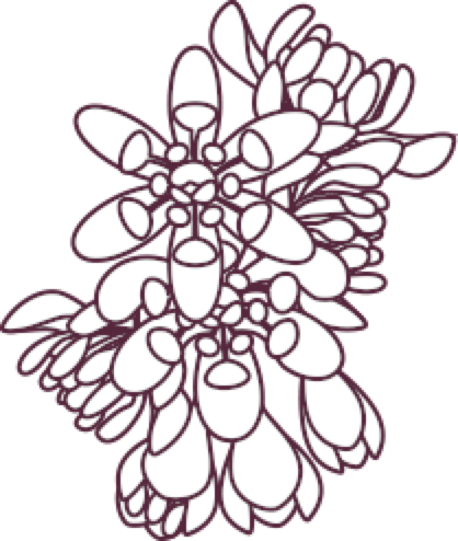 Cupidstone